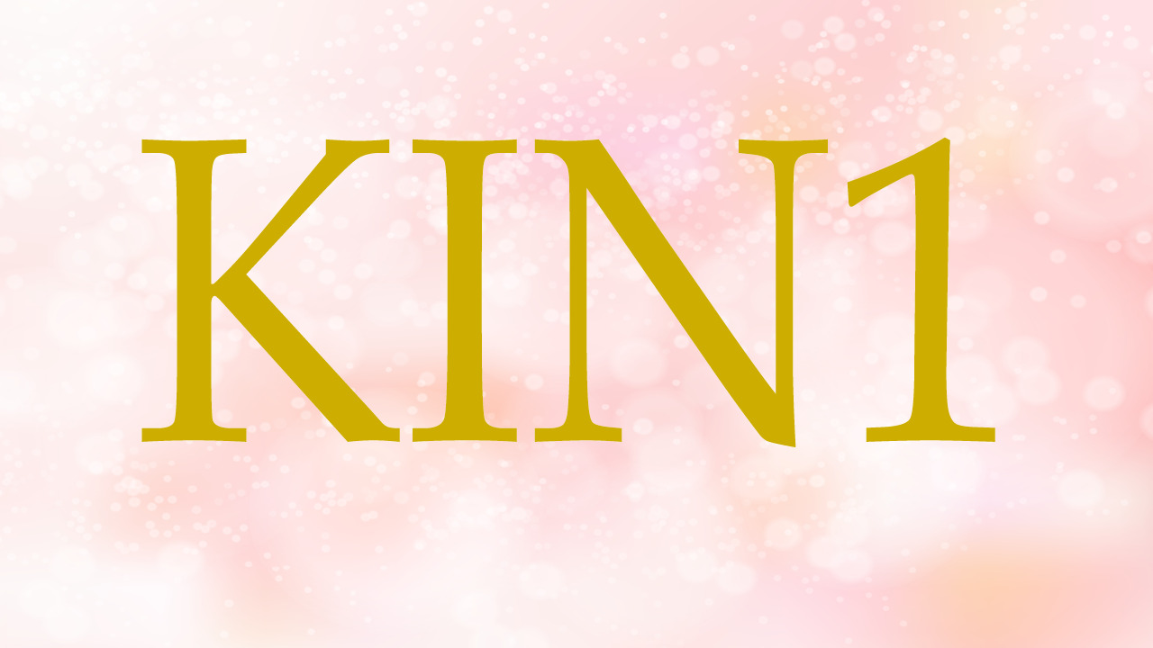 KIN1のエネルギー・有名人|赤い龍×赤い龍×音1×黒KIN×角KIN