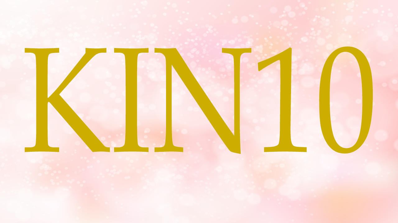 KIN10のエネルギー・有名人|白い犬×赤い龍×音10