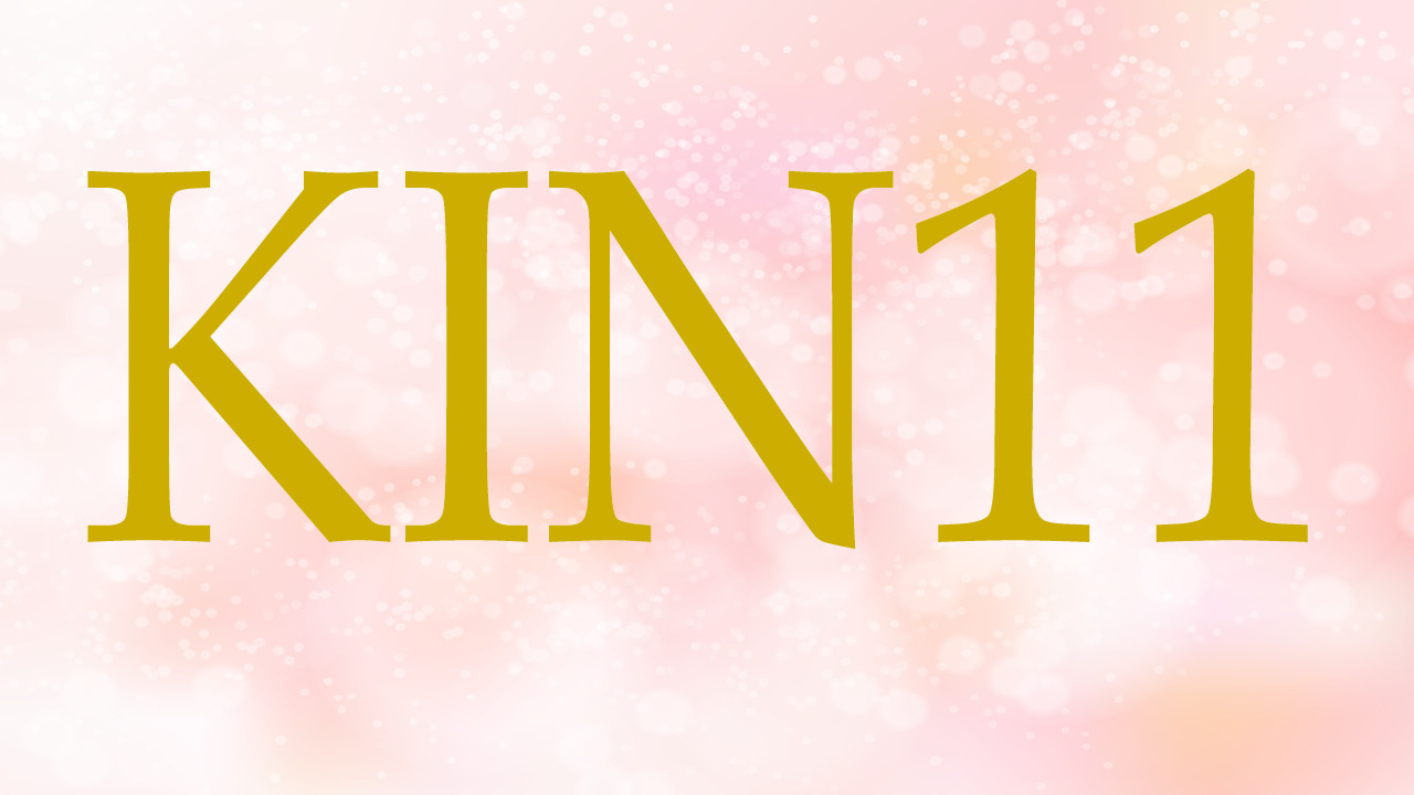 KIN11のエネルギー・有名人|青い猿×赤い龍×音11