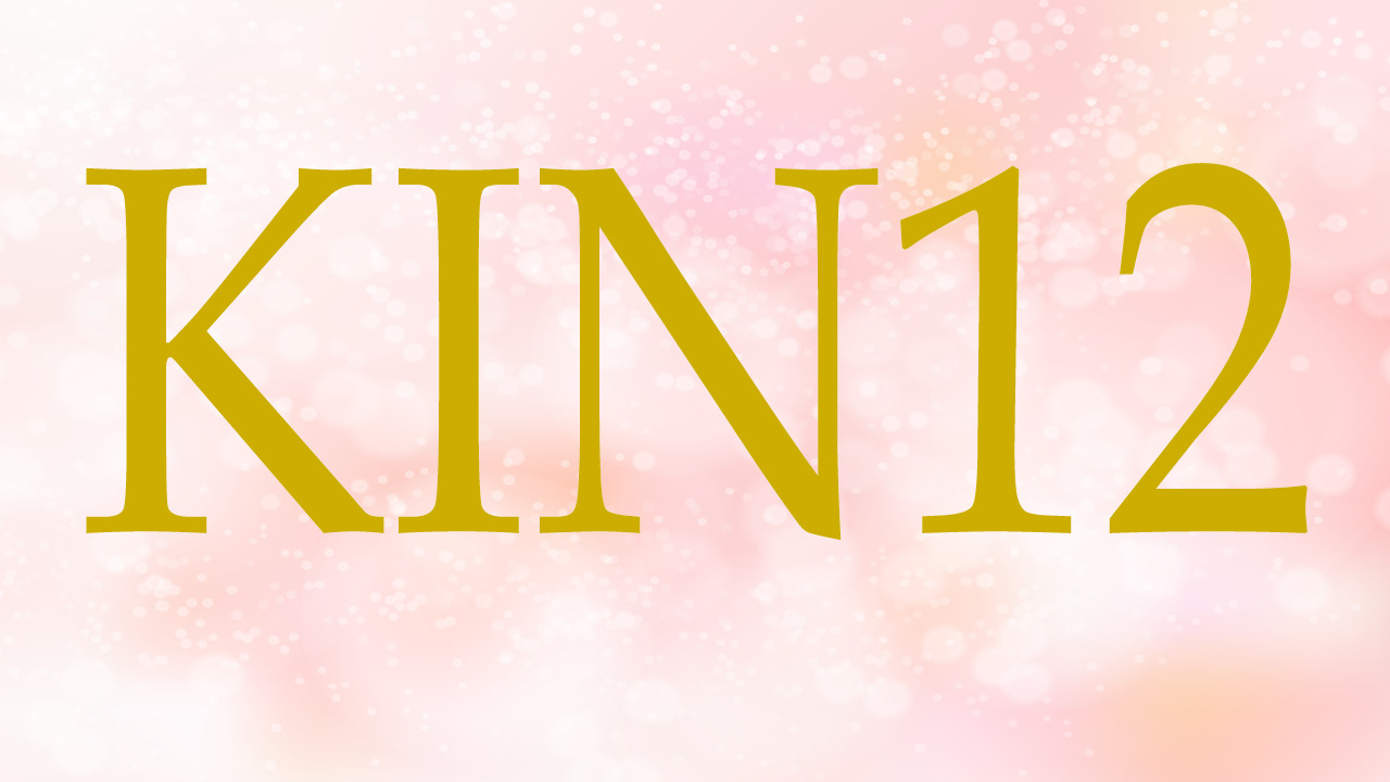 KIN12のエネルギー・有名人|黄色い人×赤い龍×音12