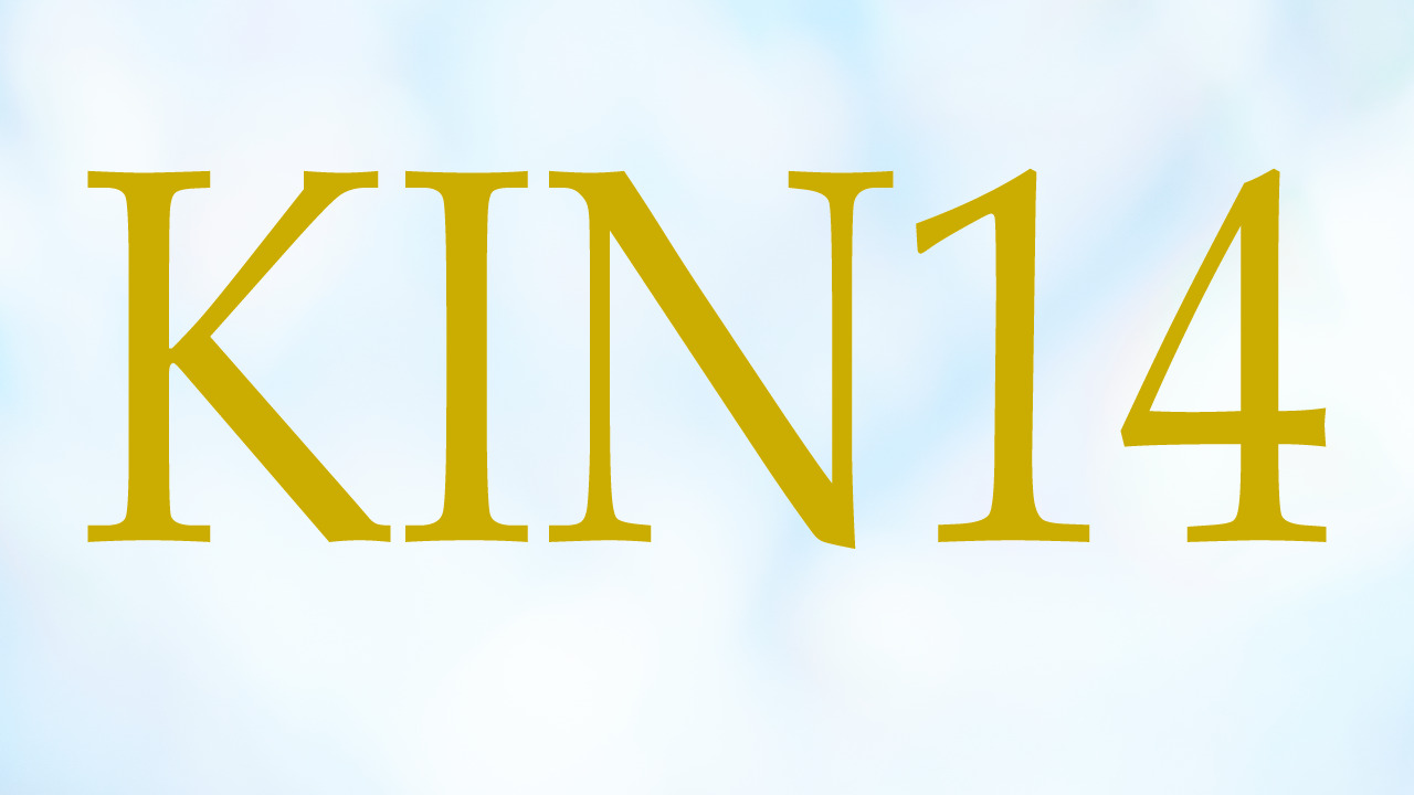 KIN14のエネルギー・有名人|白い魔法使い×白い魔法使い×音1