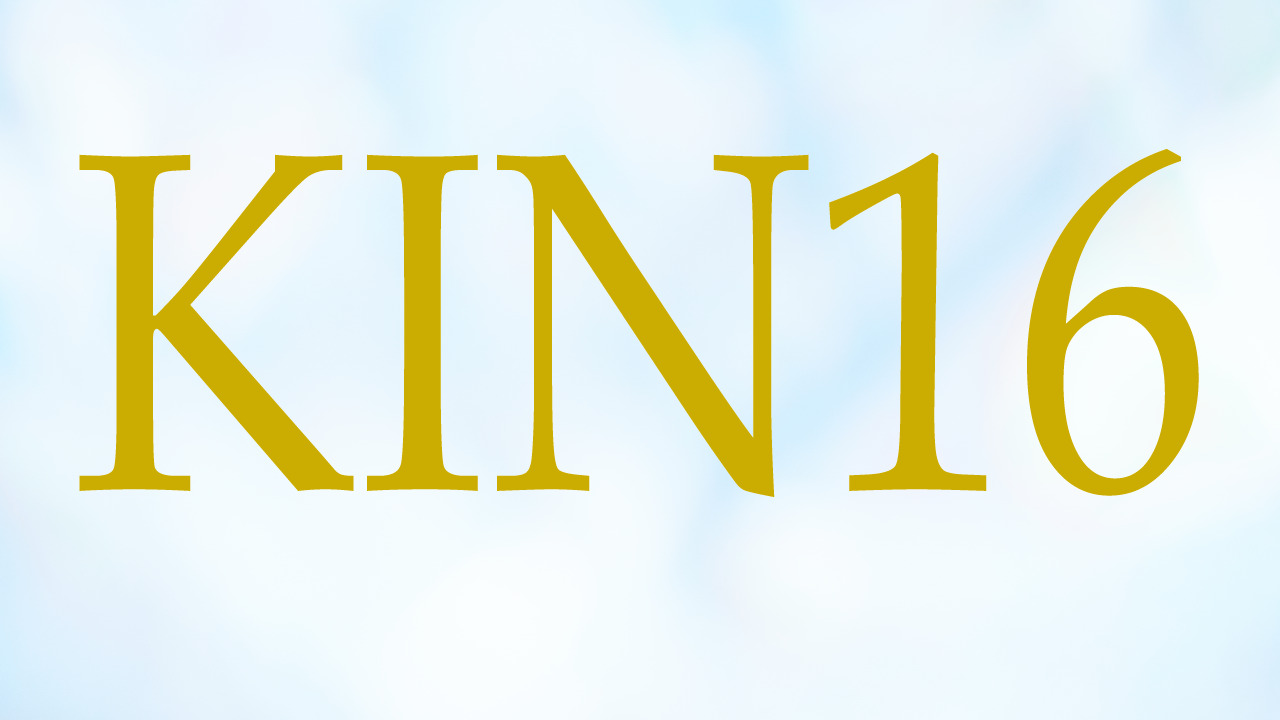 KIN16のエネルギー・有名人|黄色い戦士×白い魔法使い×音3