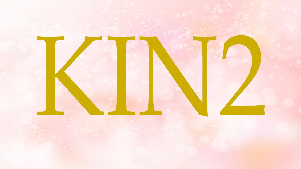 KIN2のエネルギー・有名人|白い風×赤い龍×音2