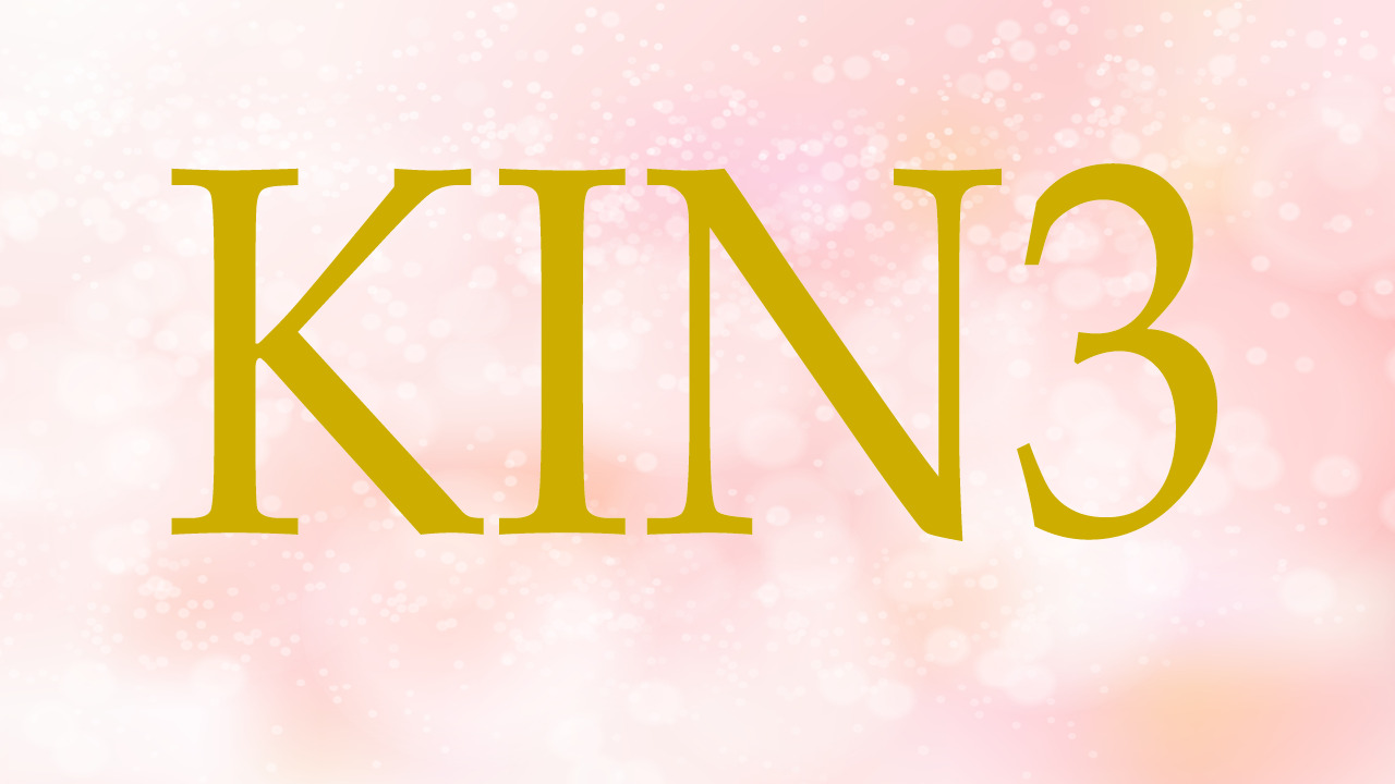 KIN3のエネルギー・有名人|青い夜×赤い龍×音3