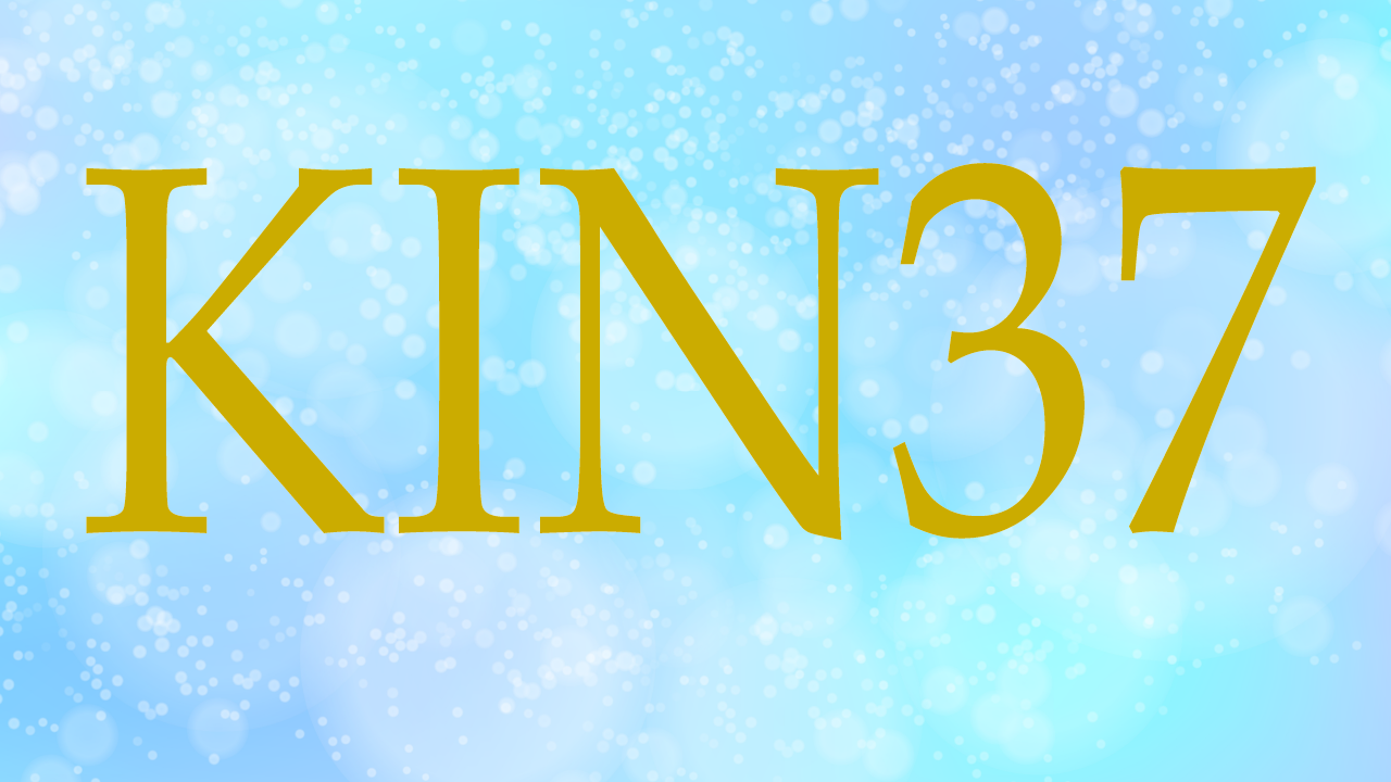KIN37のエネルギー・有名人|赤い地球×青い手×音11