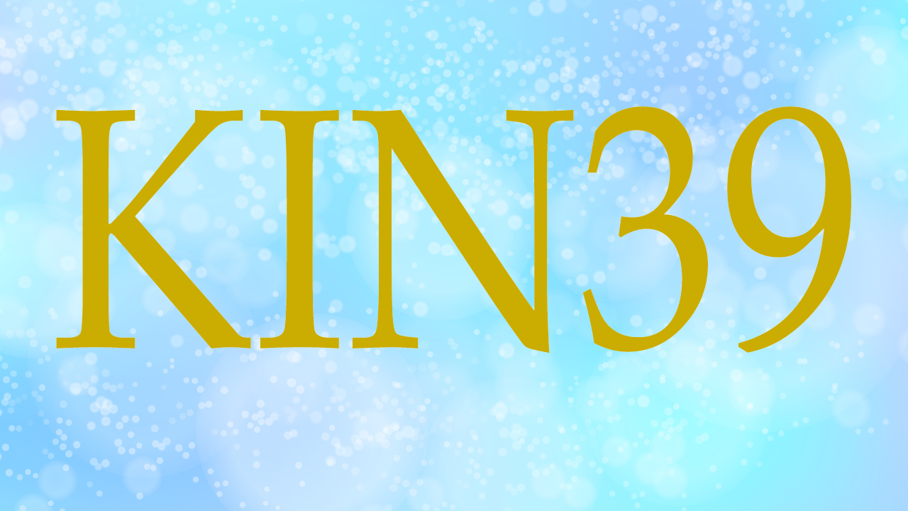 Kin39のエネルギー 有名人 青い嵐 青い手 音13 黒kin