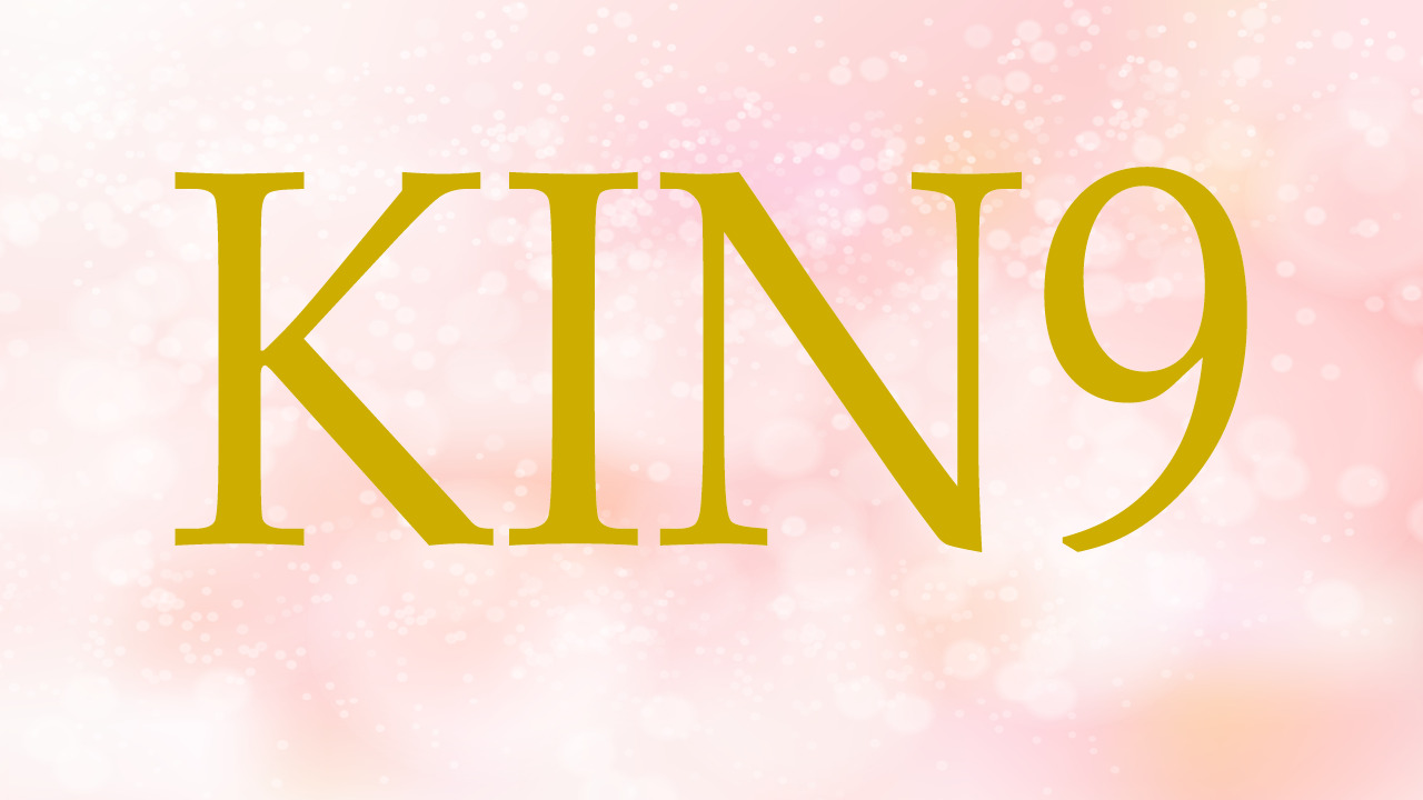 KIN9のエネルギー・有名人|赤い月×赤い龍×音9