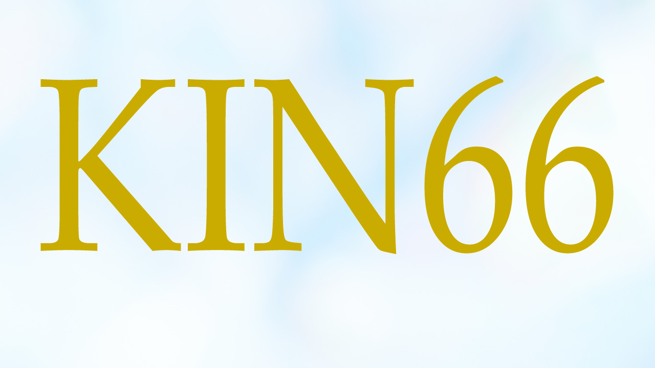 KIN66のエネルギー・有名人|白い世界の橋渡し×白い世界の橋渡し×音1