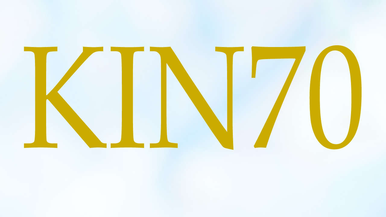 KIN70のエネルギー・有名人|白い犬×白い世界の橋渡し×音5